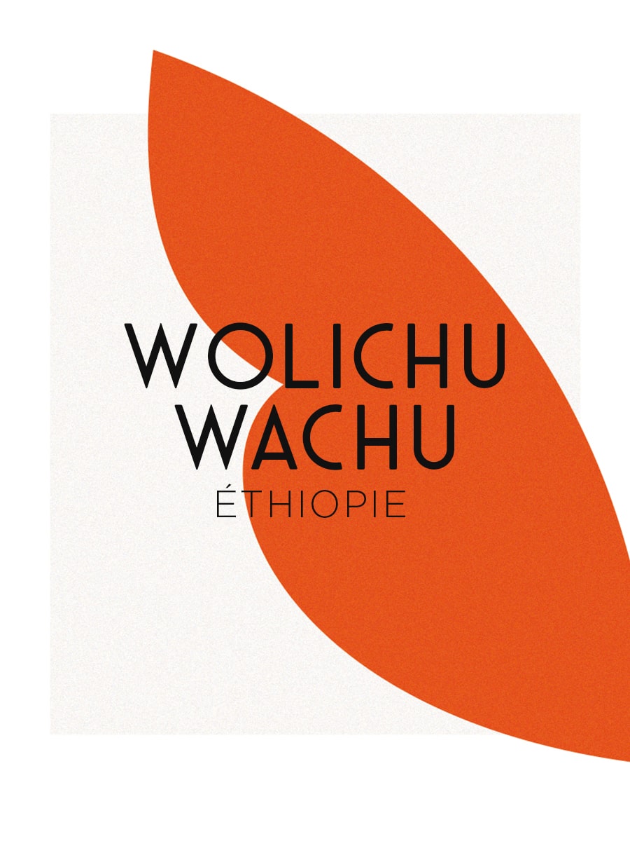 café Ethiopie Wolichu Wachu - Brulerie Moka