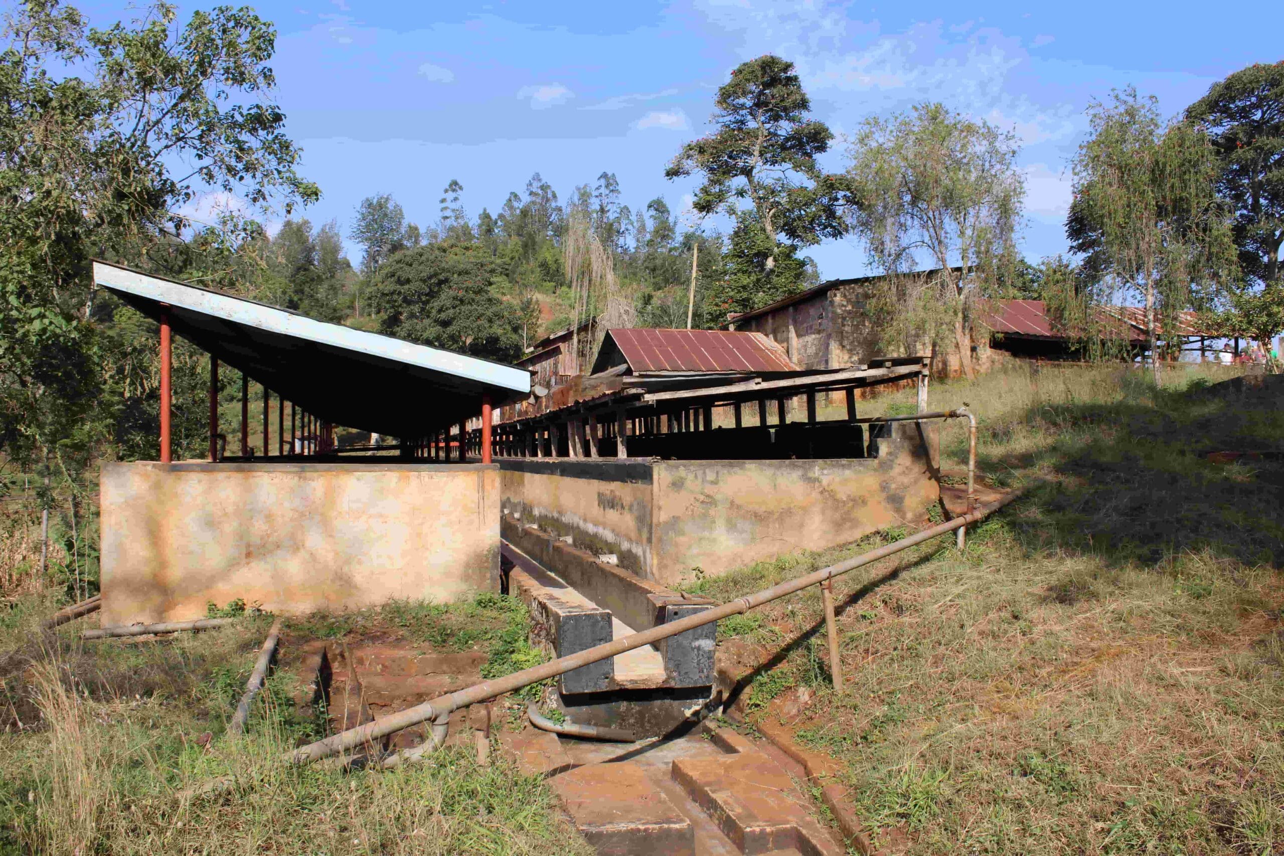 Mumbi - Kenya – Image 3