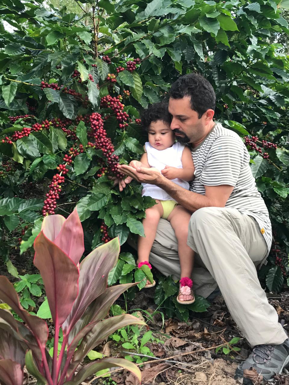 Zapote - Honduras – Image 2