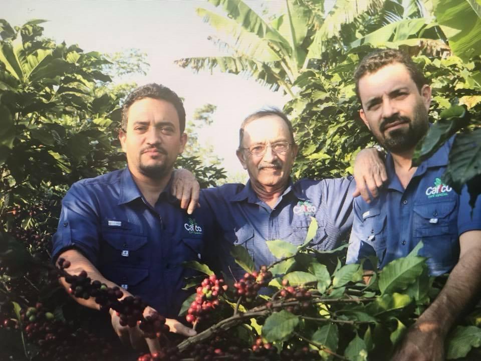 Zapote - Honduras – Image 4