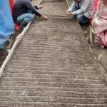 vivero-de-café-variedad-maracaturra-finca-idealista-_1_-_1_