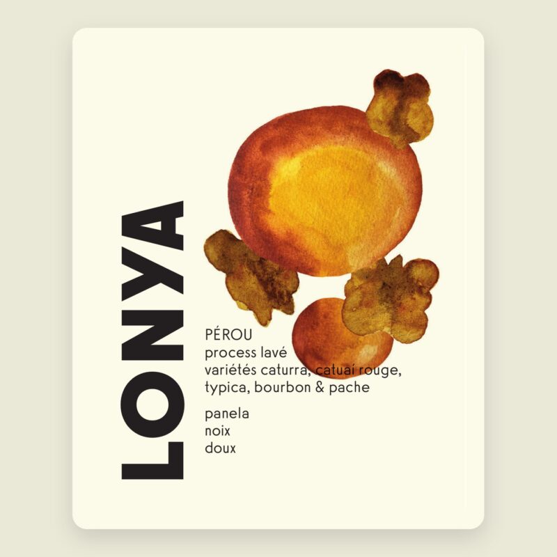 Lonya – Pérou : café de spécialité torréfié à Marseille, Brûlerie MÖKA