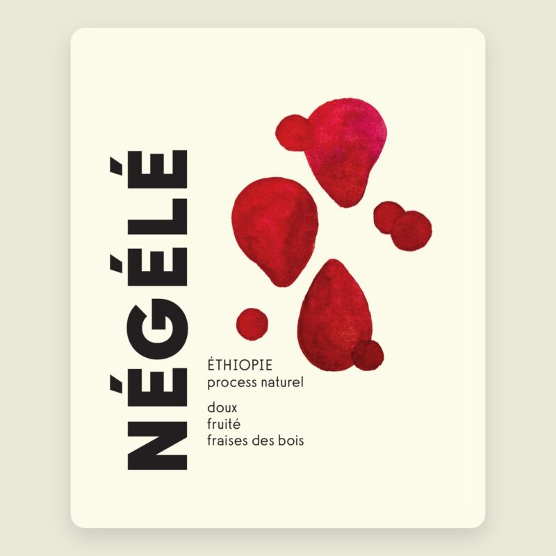 Négélé – Éthiopie : café de spécialité torréfié à Marseille, Brûlerie MÖKA
