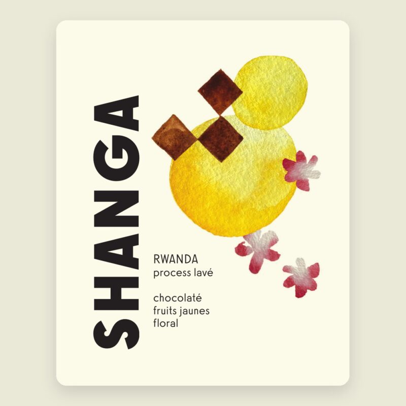Shanga – Rwanda : café de spécialité torréfié à Marseille, Brûlerie MÖKA