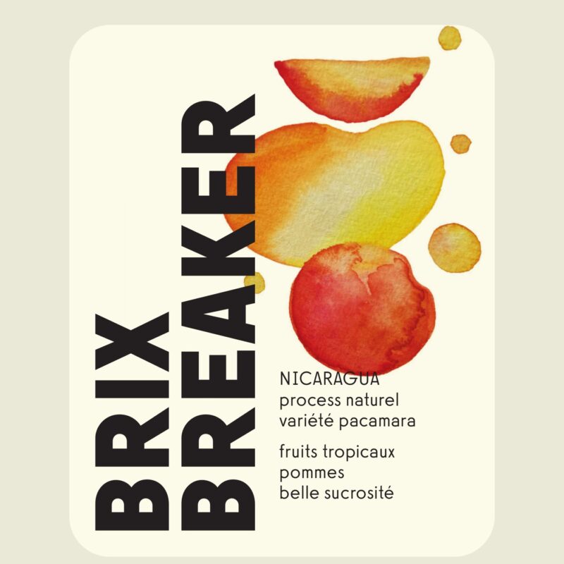 Brix Breaker - Nicaragua